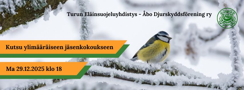 Ylimääräinen jäsenkokous 29.12.2025