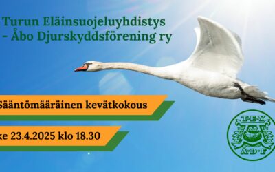 Sääntömääräinen kevätkokous 23.4.2025