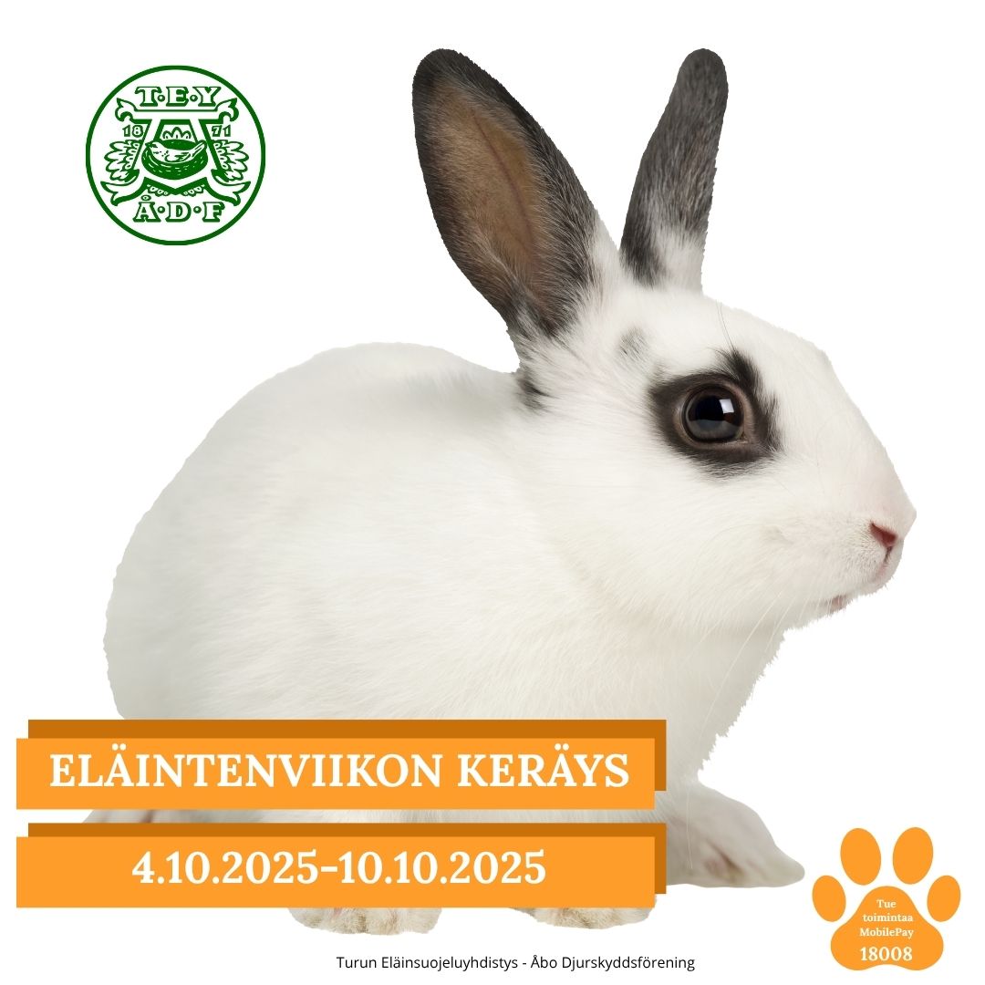 Eläintenviikon keräys