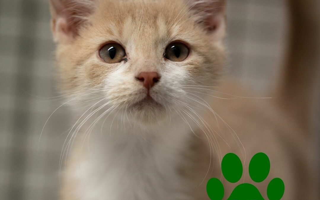 #Kolikkokodiksi- keräys uusia toimitiloja varten